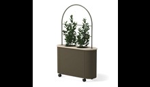Hedge T-4620